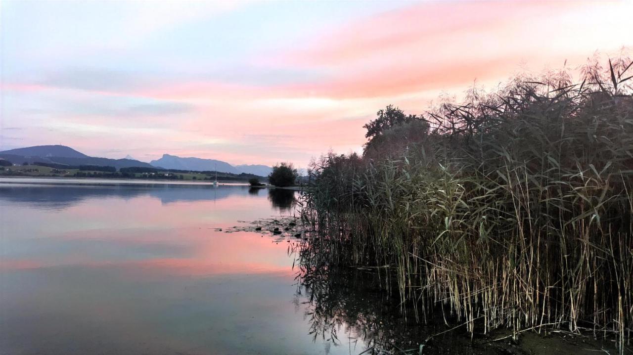 Glamping Wallersee - Unter Dem Kastanienbaum Helming Esterno foto